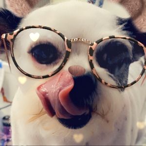 Meet your Posher, Kali